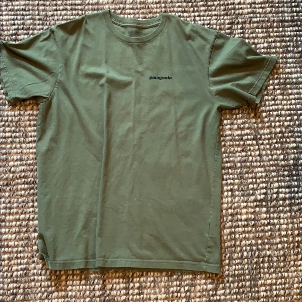Patagonia T-shirt